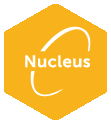 Nucleus for Neuronic solution